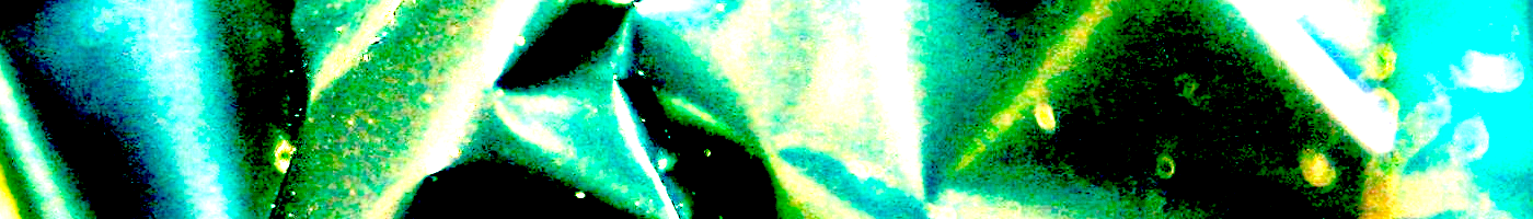 Headerbild Clara Moriggl